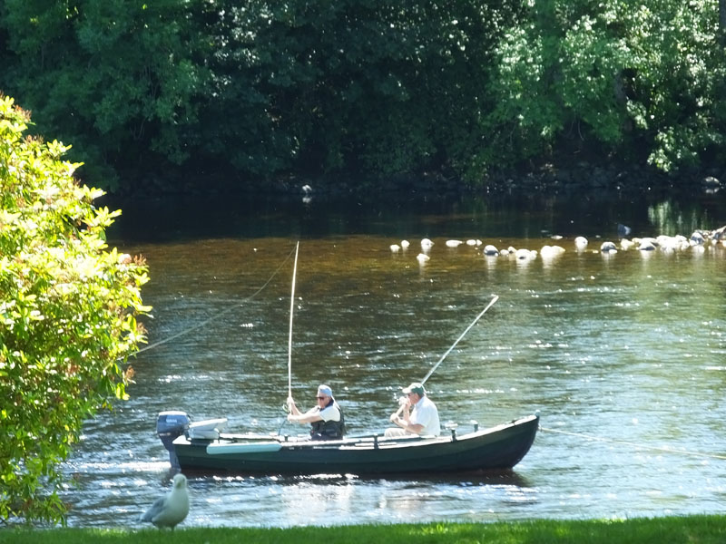Dunkeld Bridge to Dunkeld Cathedral Historic Trail Walk
