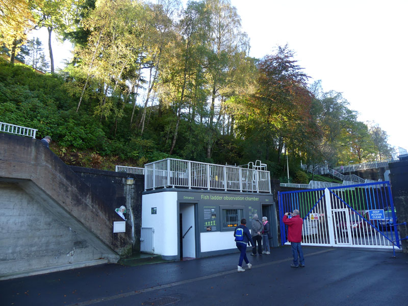 Pitlochry Dam and Fish Ladder walk