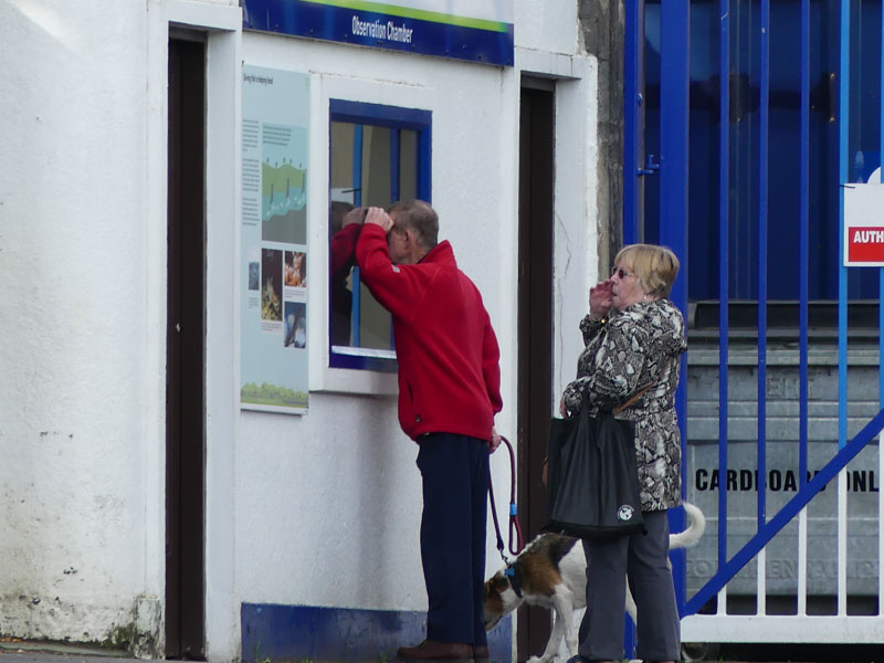 Pitlochry Dam and Fish Ladder walk