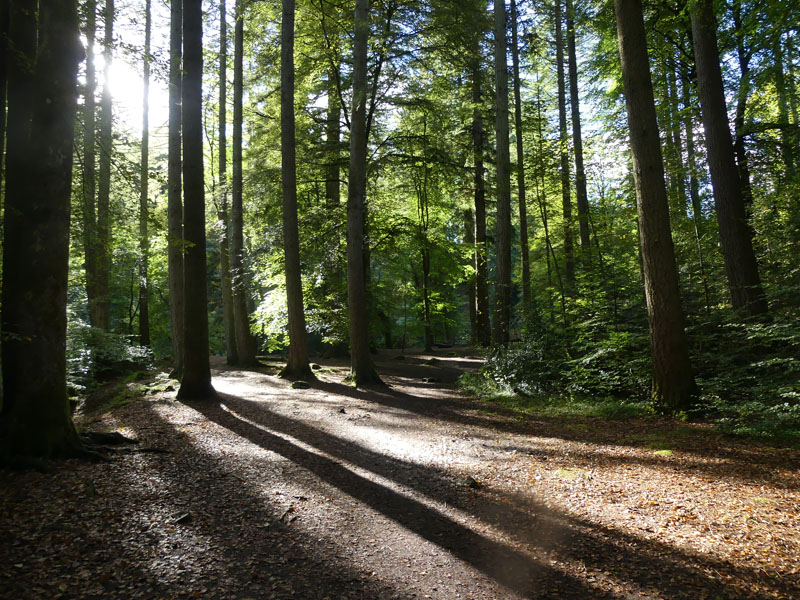 The Hermitage at Dunkeld