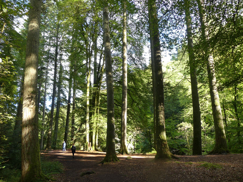 The Hermitage at Dunkeld