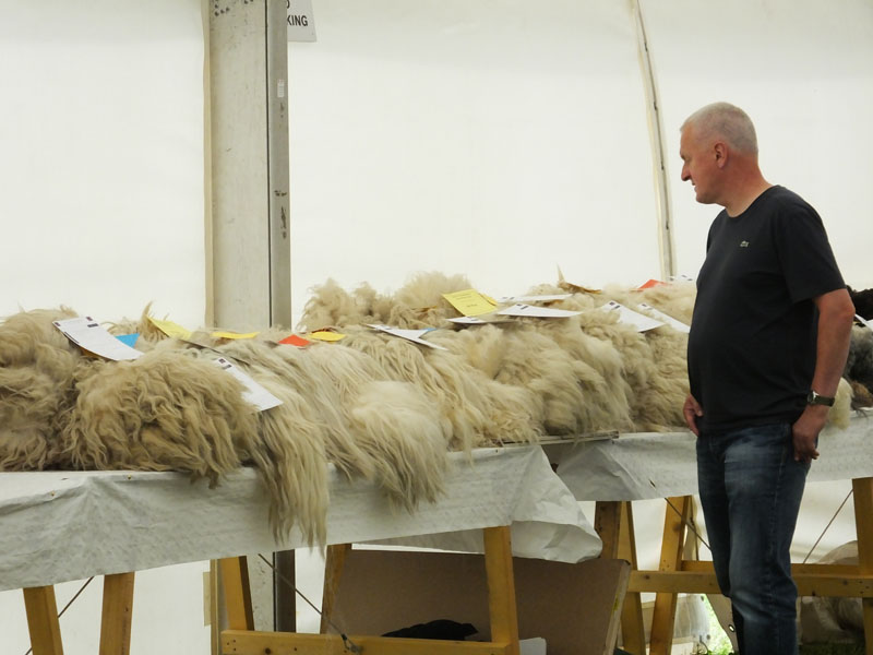 Aberfeldy Show and Highland Games