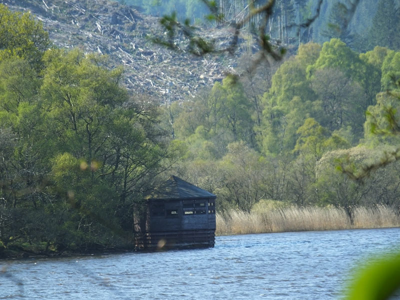 Loch of the Lowes