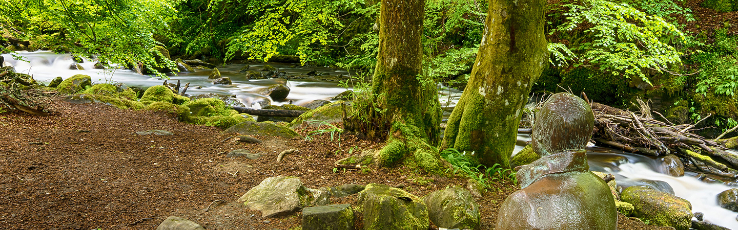 The Birks of Aberfeldy