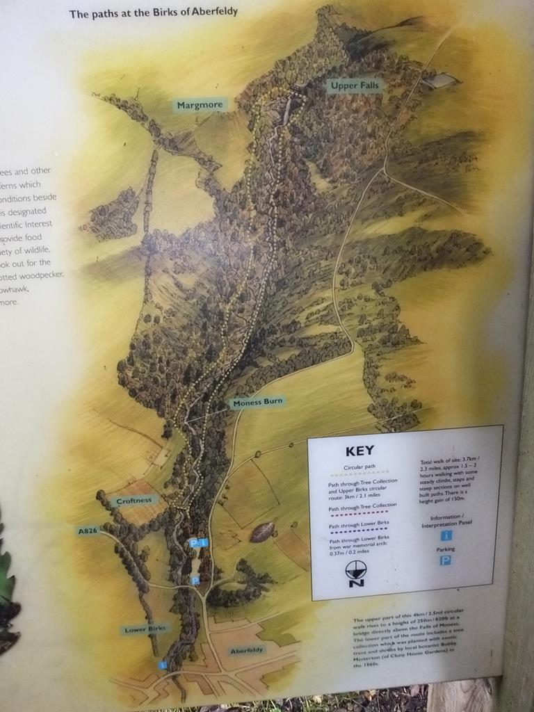 The Birks of Aberfeldy