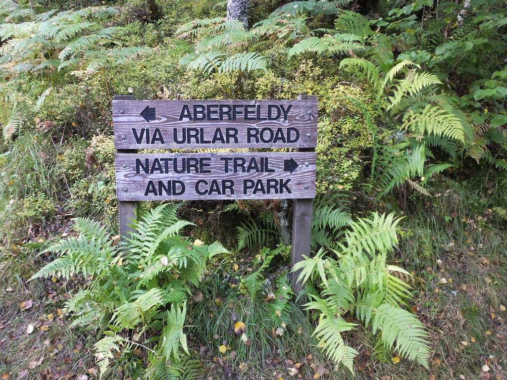 The Birks of Aberfeldy