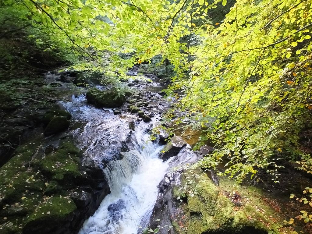 The Birks of Aberfeldy