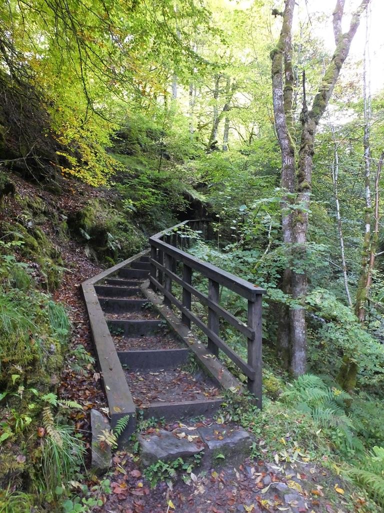 The Birks of Aberfeldy