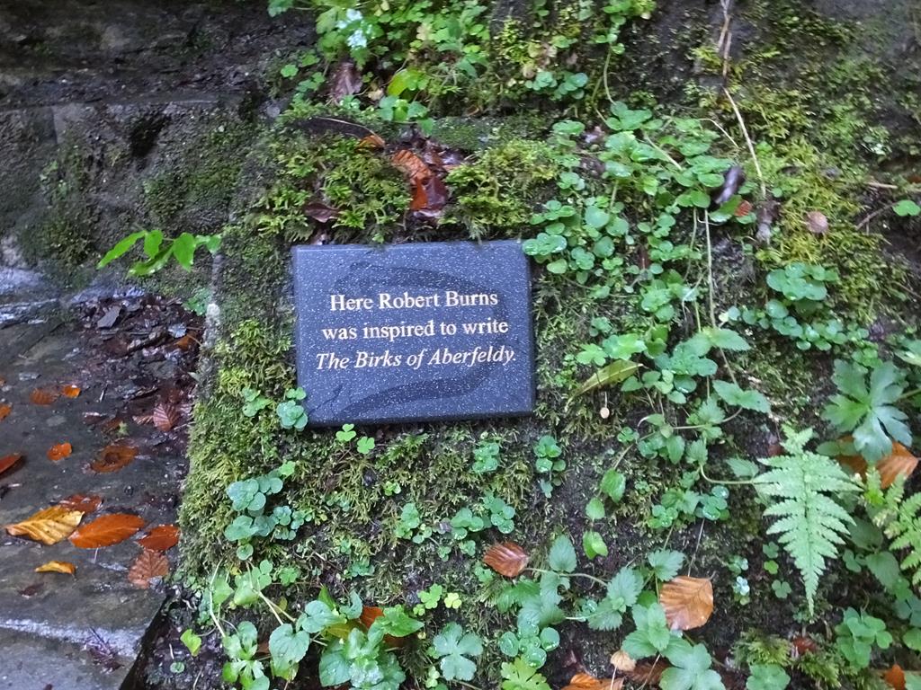 The Birks of Aberfeldy