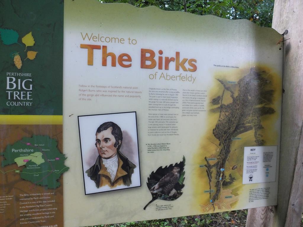 The Birks of Aberfeldy